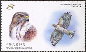 Stamp, Besra (Accipiter virgatus), Taiwan (Republic of China),  , Birds of Prey