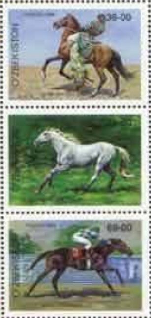Korabajiry Horse (Equus ferus caballus)