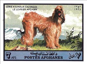 Stamp, Afghan Hound (Canis familiaris), Afghanistan,  , Animals (Fauna), Dogs, Mammals