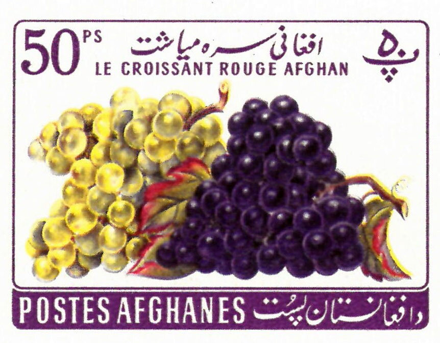 Grapes (Vitis vinifera)