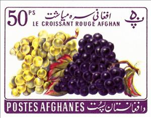 Stamp, Grapes (Vitis vinifera), Afghanistan,  , Fruits and Berries, Grapes, Plants (Flora), Red Cross and Red Crescent