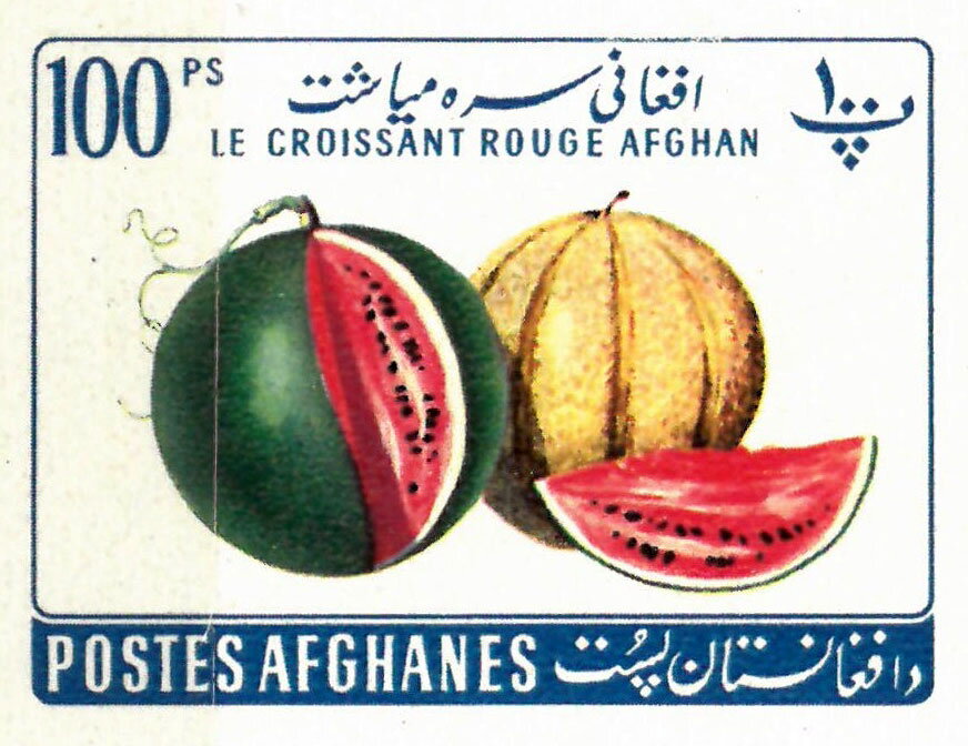 Melons (Cucumis melo)