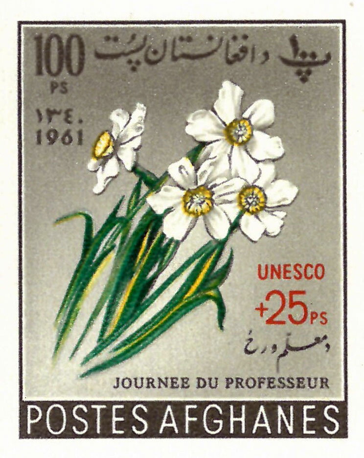 Narcissus, Surcharged