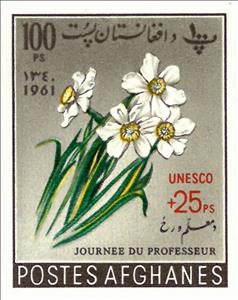 Stamp, Narcissus, Surcharged, Afghanistan,  , Flowers, Plants (Flora)