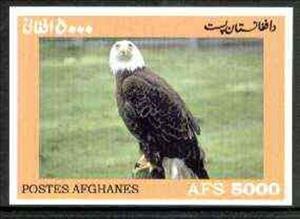 Stamp, American Bald Eagle, Afghanistan,  , Animals (Fauna), Birds of Prey, Eagles