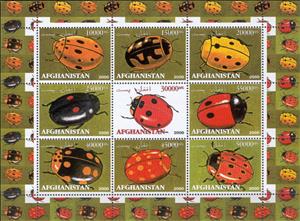 Mini Sheet, Beetles Lady Bugs, Afghanistan,  , Beetles, Insects