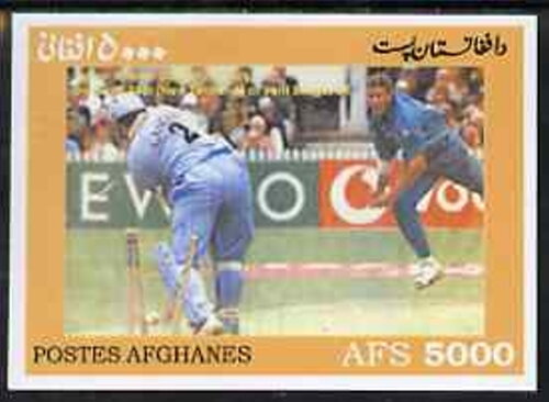 Cricket Players