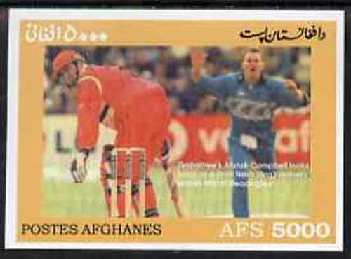 Cricket Players