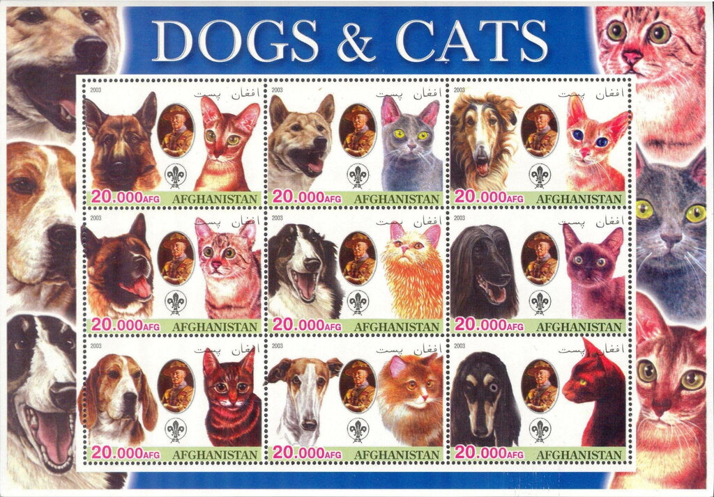 Dogs & Cats