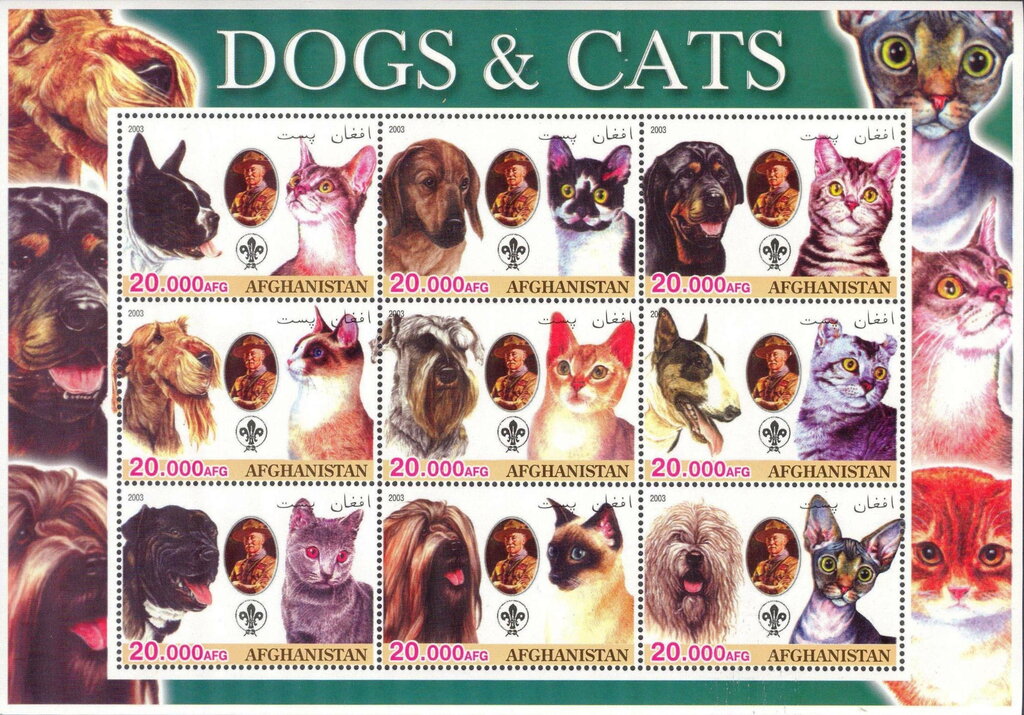 Dogs & Cats