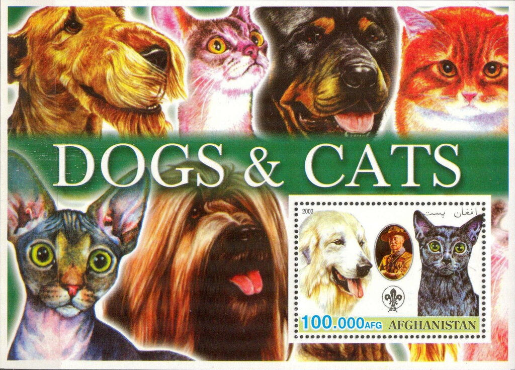 Dogs & Cats