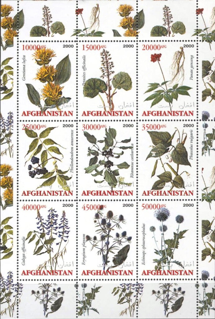 Medicinal Plants