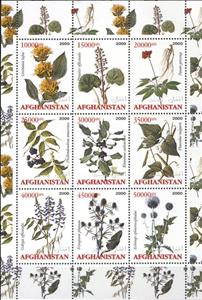 Mini Sheet, Medicinal Plants, Afghanistan,  , Medicines, Plants (Flora)
