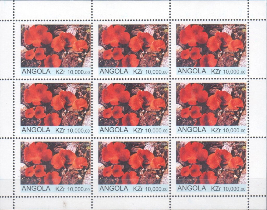 Flora and Fauna Aleunia Aurantia