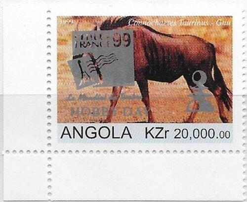 Flora and Fauna Blue Wildebeest (Connochaetes taurinus) Ovpt