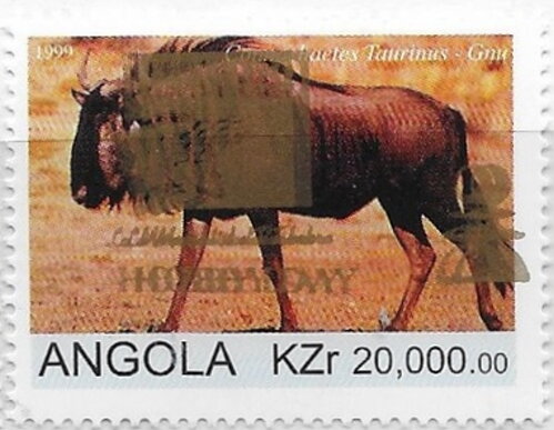Flora and Fauna Blue Wildebeest (Connochaetes taurinus) Ovpt