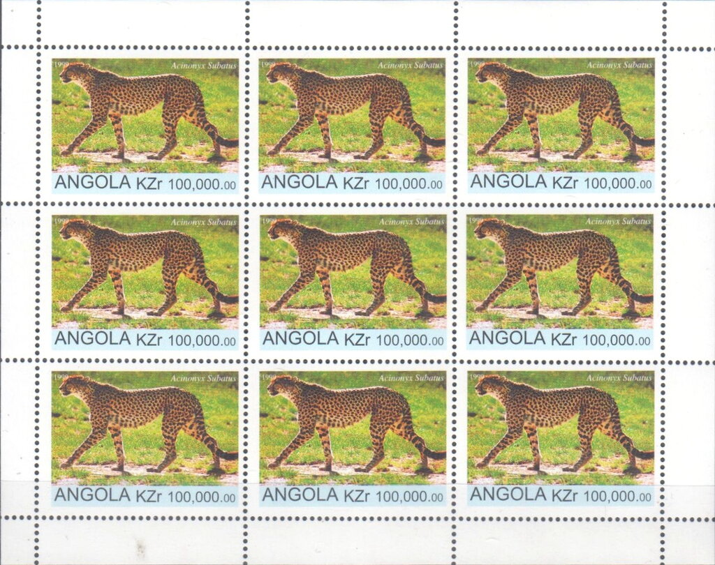 Flora and Fauna Cheetah (Acinonyx subarus)