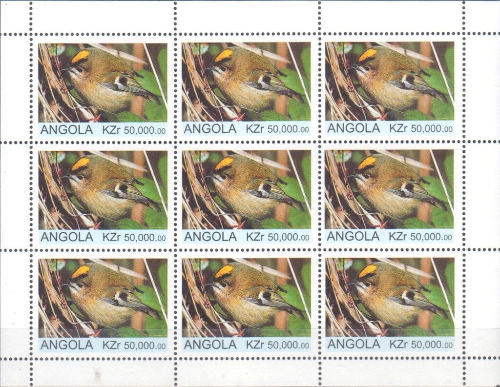 Flora and Fauna Goldcrest