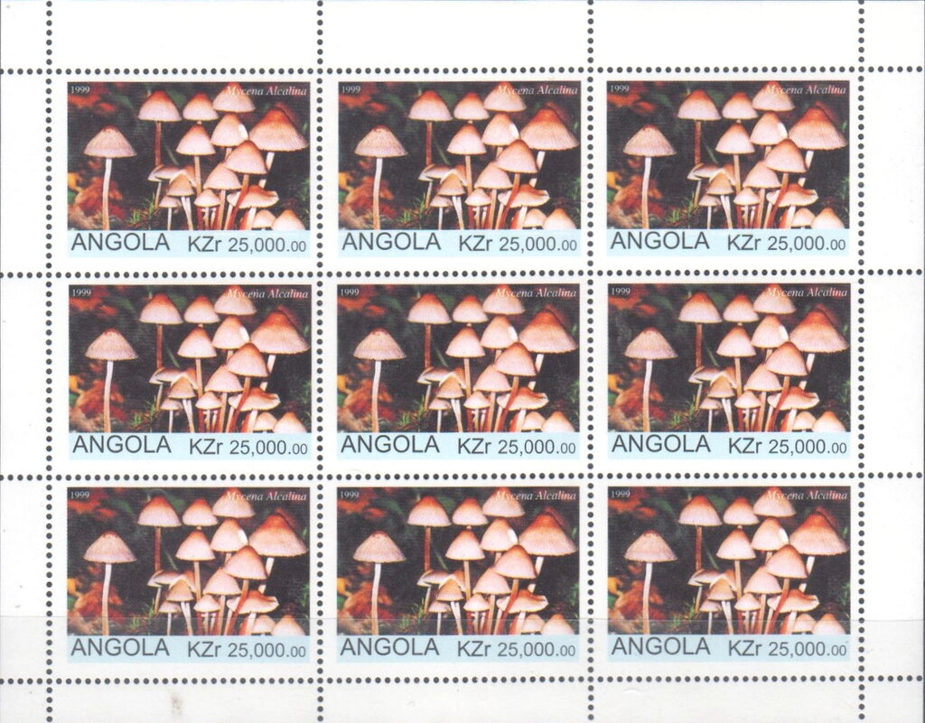 Flora and Fauna Mushrooms (Mycena Alcalina)