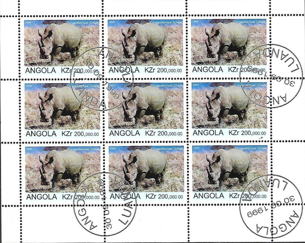Flora and Fauna White Rhinoceros (Ceratotherium Sihum)