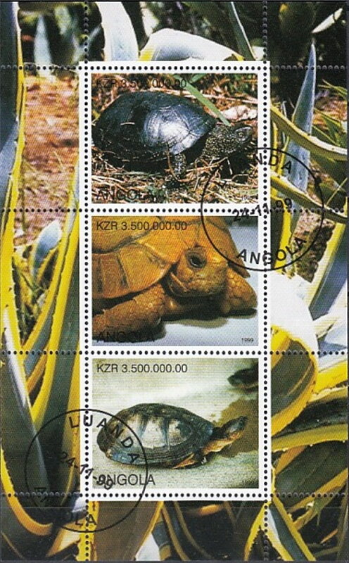 Turtles