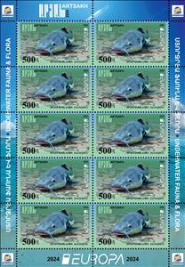 Full Pane, EUROPA Wels catfish (Silurus glanis), Artsakh (Nagorno-Karabakh),  , Animals (Fauna), Fishes, Sea Life