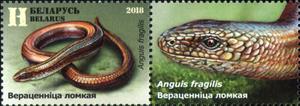 Stamp with Attached Label, Slow Worm (Anguis fragilis), Belarus,  , Animals (Fauna), Lizards, Reptiles