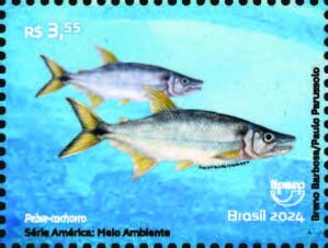 Acestrorhynchus lacustris