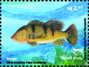 Butterfliy Peacock Bass (Cichla ocellaris)