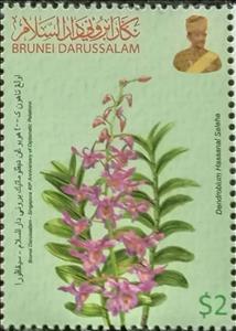 Stamp, Dendrobium hassanal saleha, Brunei Darussalam,  , Joint Issues, Plants (Flora)