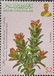 Stamp, Ficus elastica, Brunei Darussalam,  , Joint Issues, Plants (Flora)