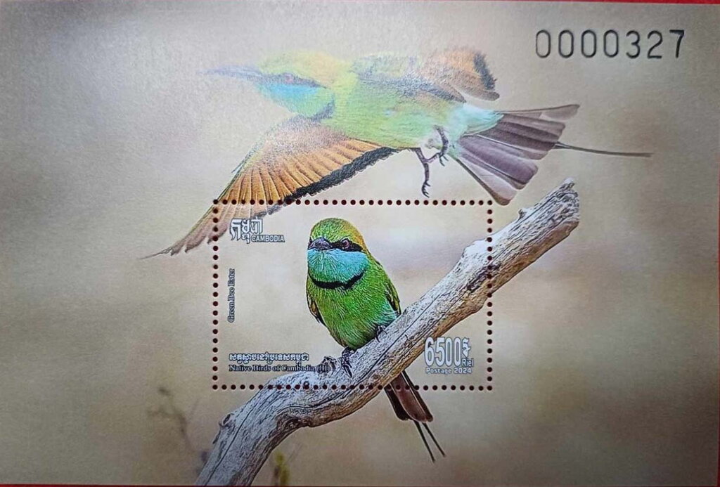 Green Bee Eater (Merops orientalis)