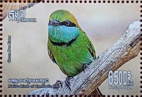 Green Bee Eater (Merops orientalis)