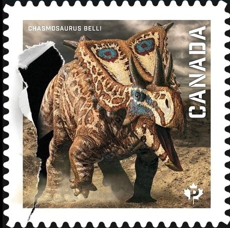 Chasmosaurus belli