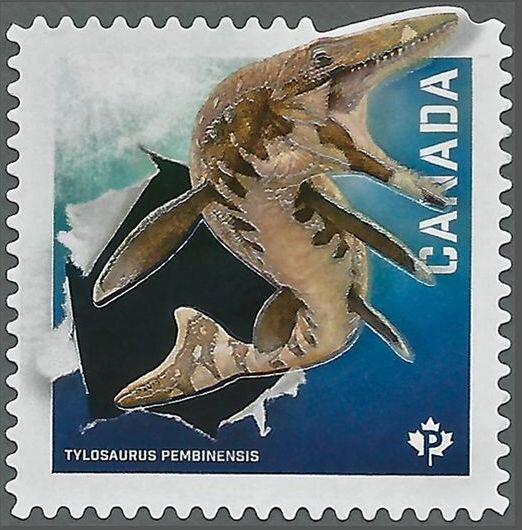Tylosaurus pembinensis
