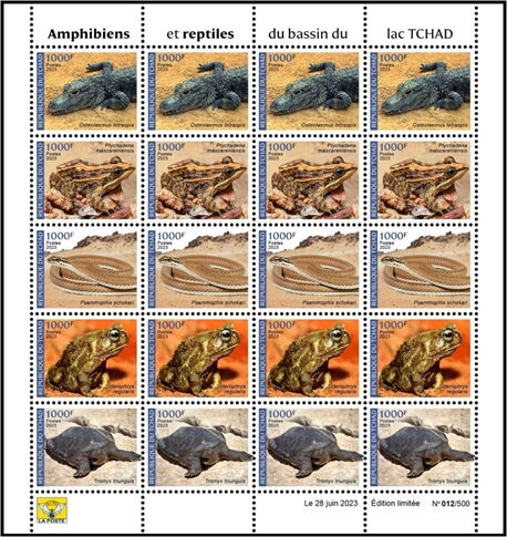 Amphibians and Reptiles of the Lake Chad
