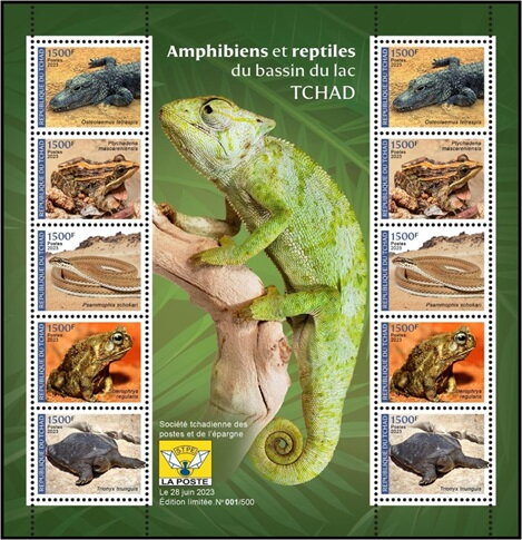Amphibians and Reptiles of the Lake Chad