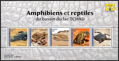 Amphibians and Reptiles of the Lake Chad