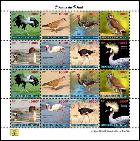 Bird of Chad