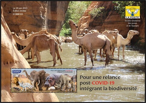 Recovery Integrating Biodiversity