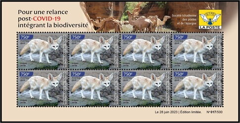 Vulpes cerda
