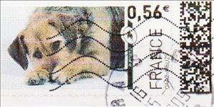 Stamp, Border Terrier, France,  , Animals (Fauna), Dogs