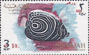 Stamp, Emperor Angelfish (Pomacanthus imperator juv.), Khor Fakkan,  , Animals (Fauna), Fishes, Sea Life