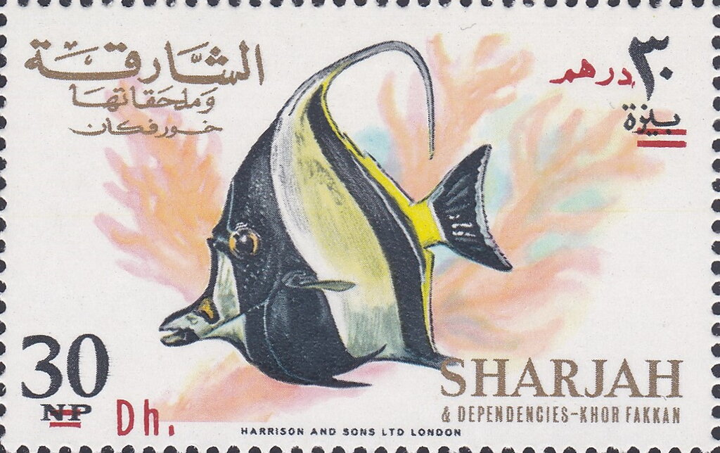 Moorish Idol (Zanclus cornutus)