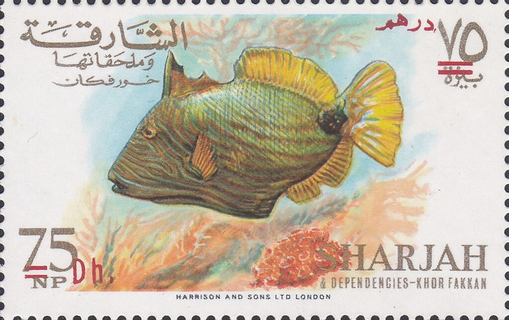 Orange-lined Triggerfish (Balistapus undulatus)