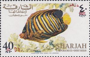 Stamp, Royal Angelfish (Pygoplites diacanthus), Khor Fakkan,  , Animals (Fauna), Fishes, Sea Life