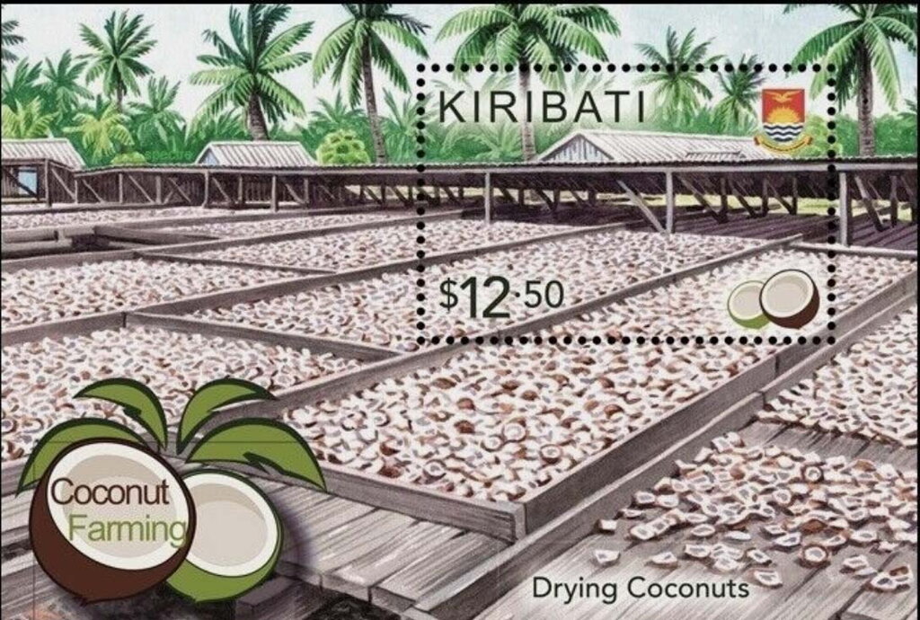 Coconut Farming