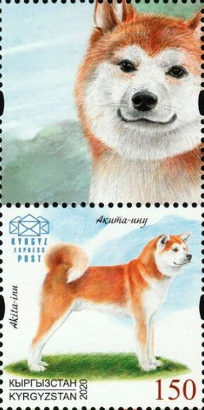 Akita Inu