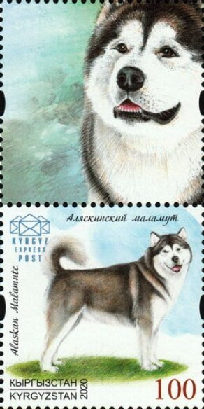 Stamp with Attached Label, Alaskan Malamute, Kyrgyzstan- Kyrgyz Express Post,  , Animals (Fauna), Dogs, Mammals