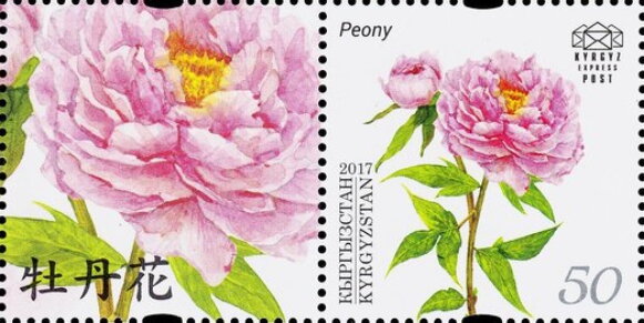 Peony